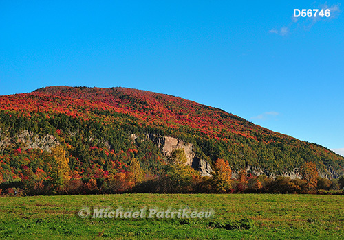 Fall colours, Cap Tourmente, Quebec, Canada